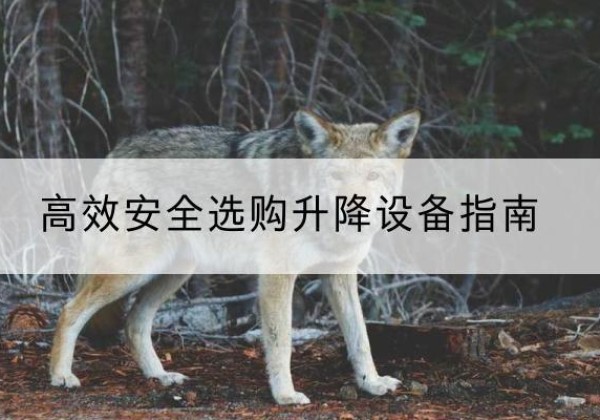 肃州升降货梯厂家推荐-*安全选购升降设备指南