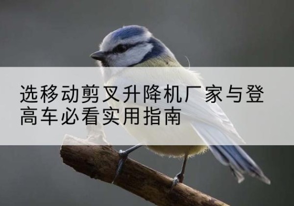 肃州电动升降机厂家-选移动剪叉升降机厂家与登高车必看实用指南