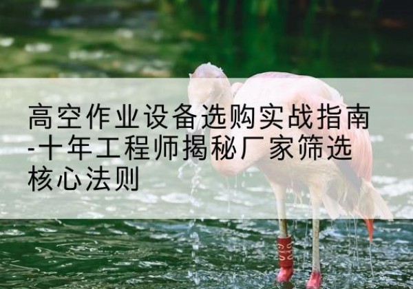 肃州剪叉式升降机厂家-高空作业设备选购实战指南-十年工程师揭秘厂家筛选核心法则